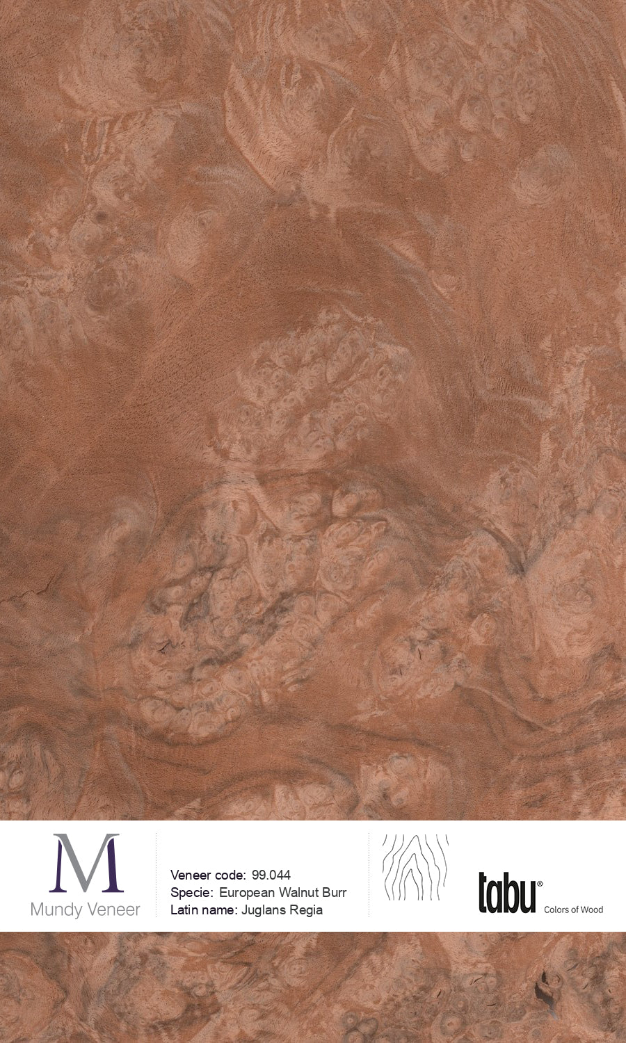 99.044, European Walnut Burr