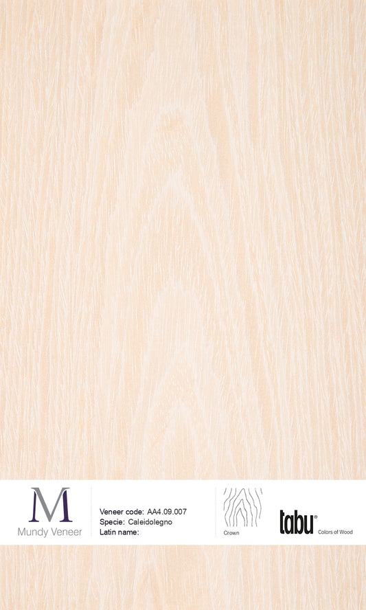 AA4.09.007, Caleidolegno