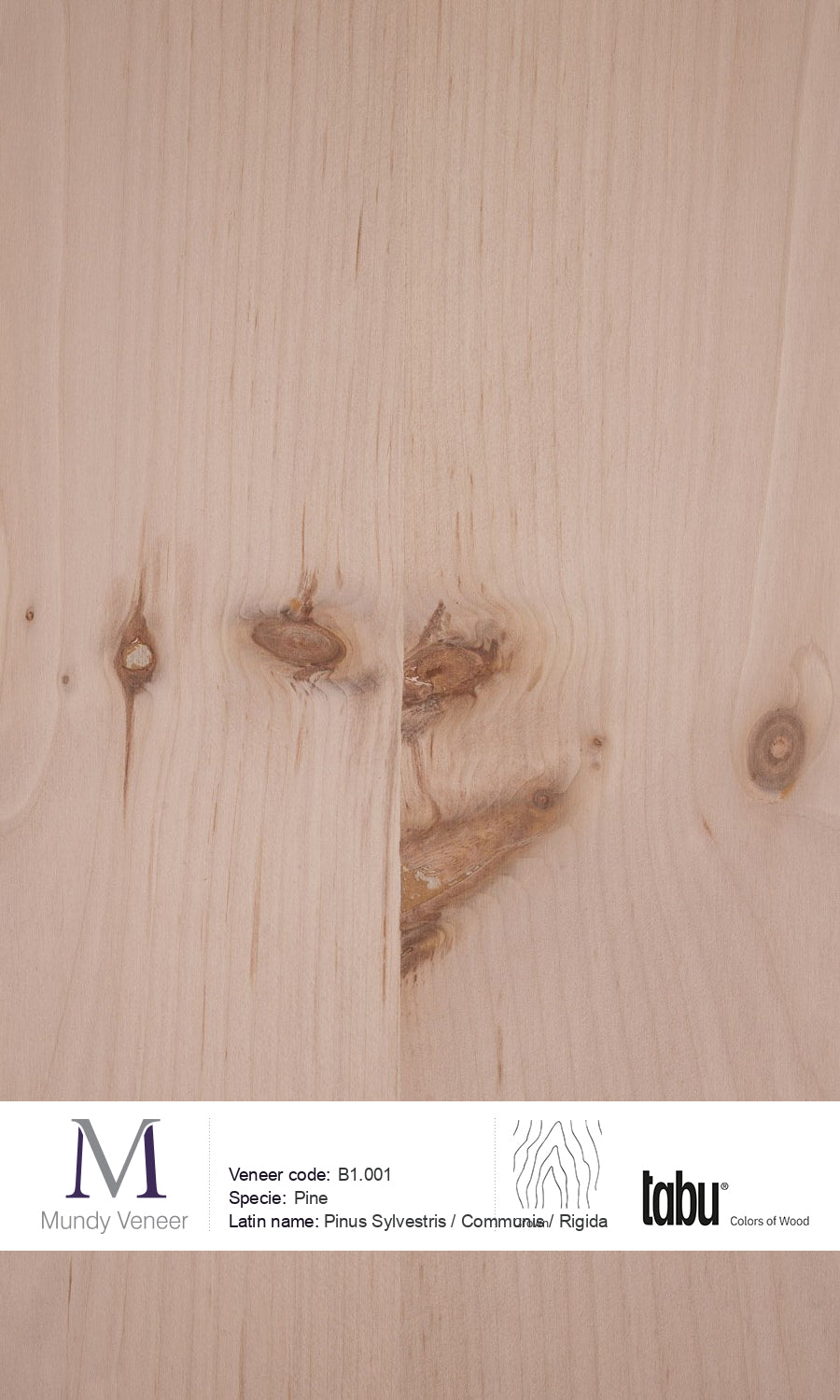 B1.001, Pine