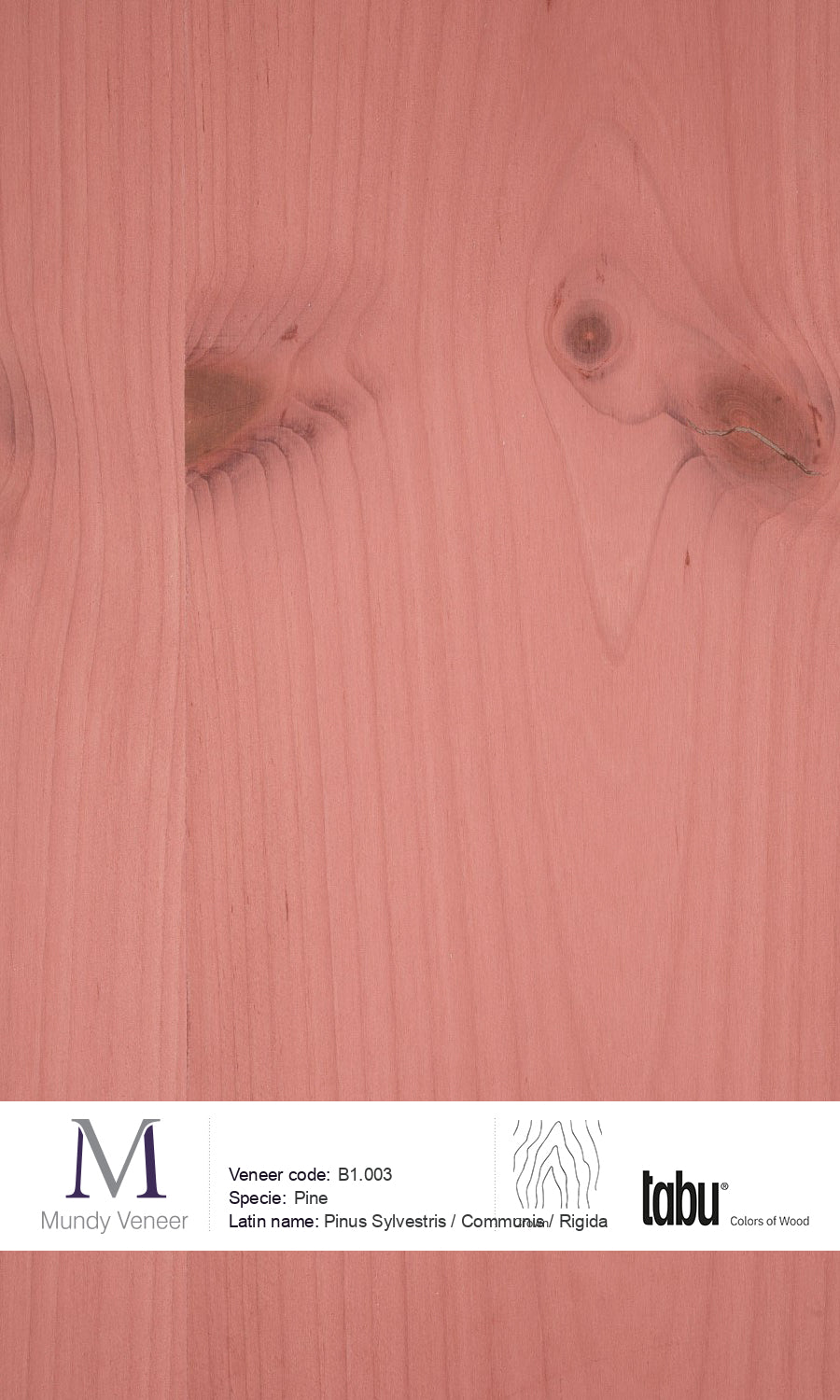 B1.003, Pine