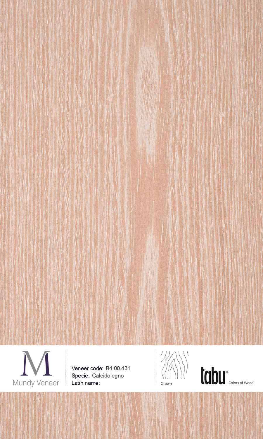 B4.00.431, Caleidolegno