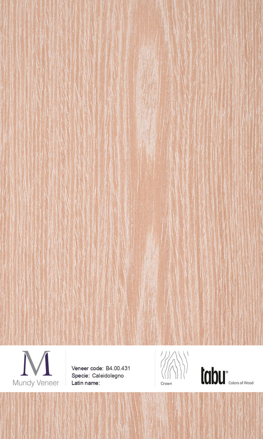 B4.00.431, Caleidolegno