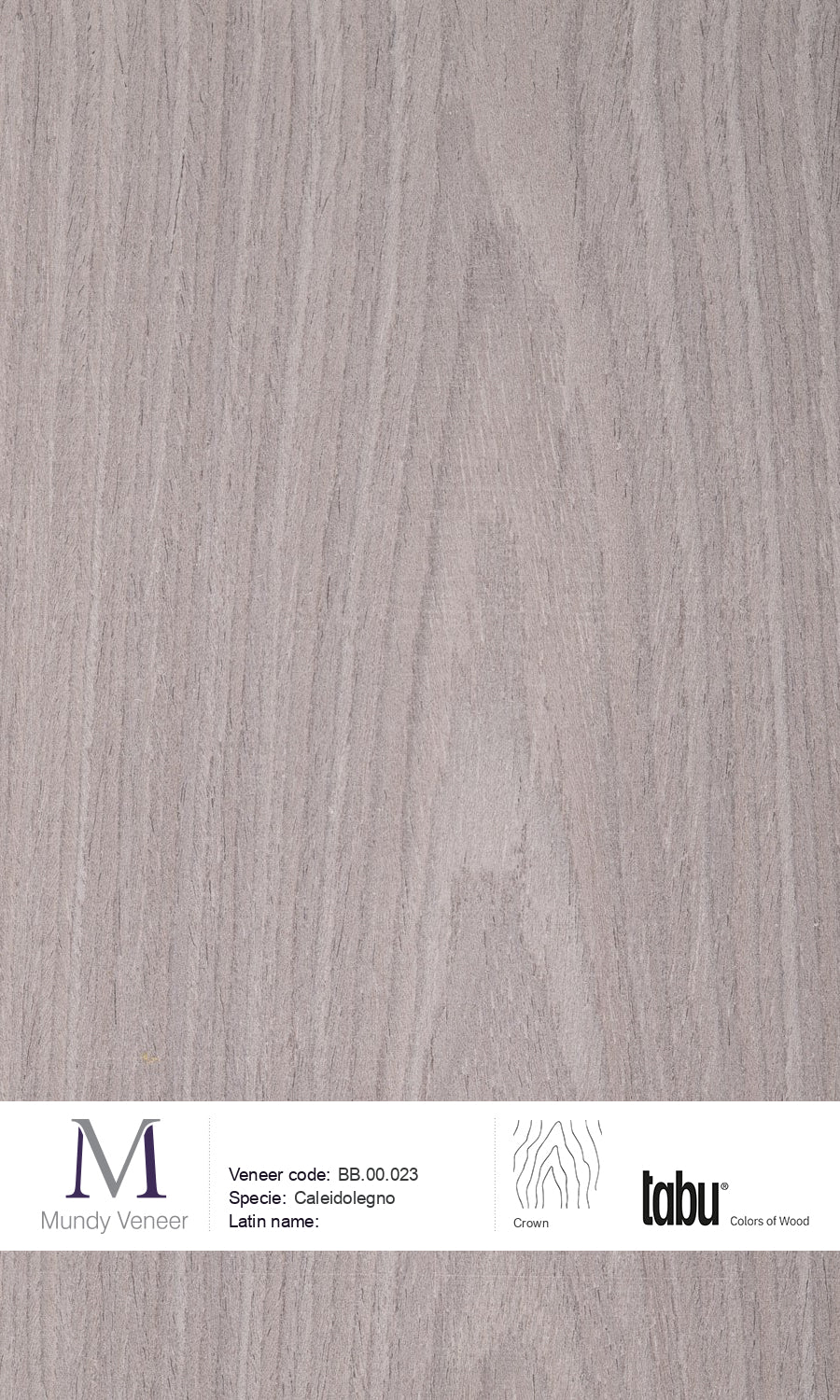 BB.00.023, Caleidolegno