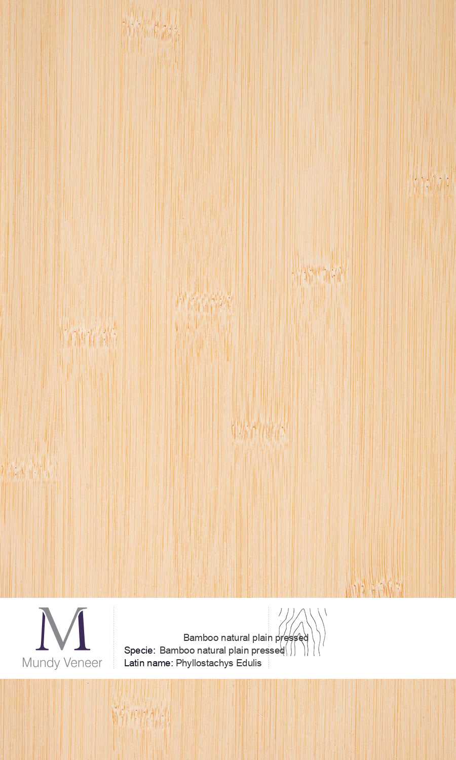 Bamboo Natural Plain Pressed