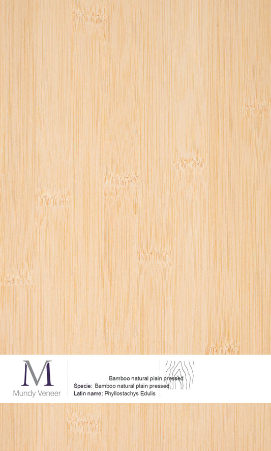 Bamboo Natural Plain Pressed