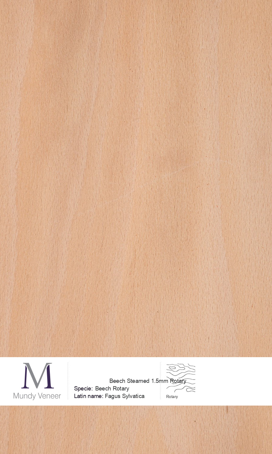 Beech Steamed Rotary