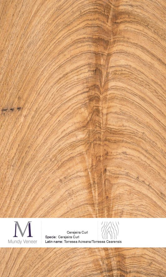 Cerejeira Curl