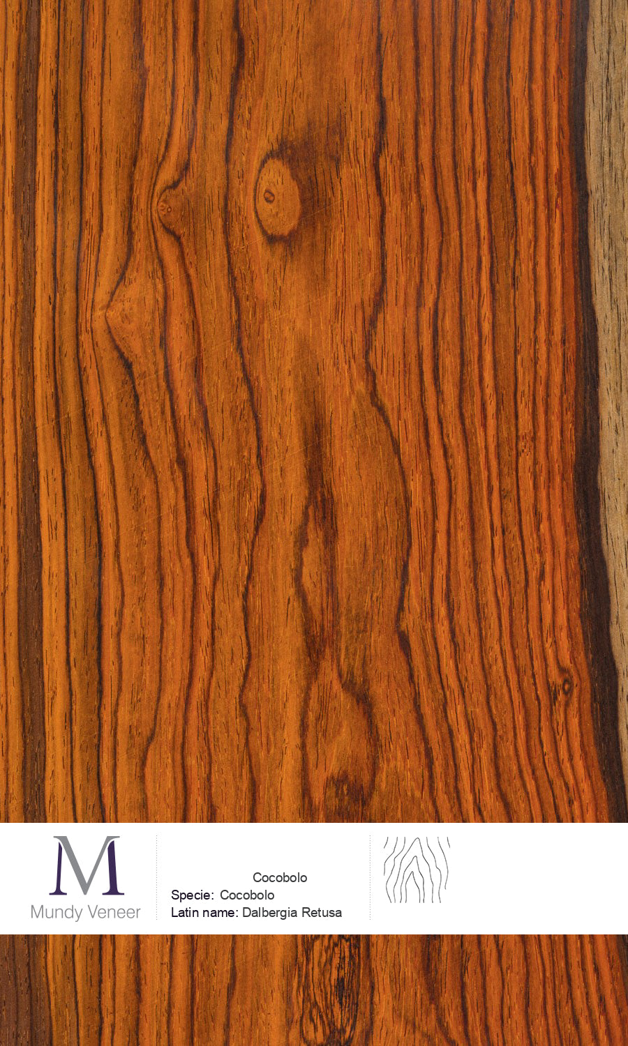 Cocobolo