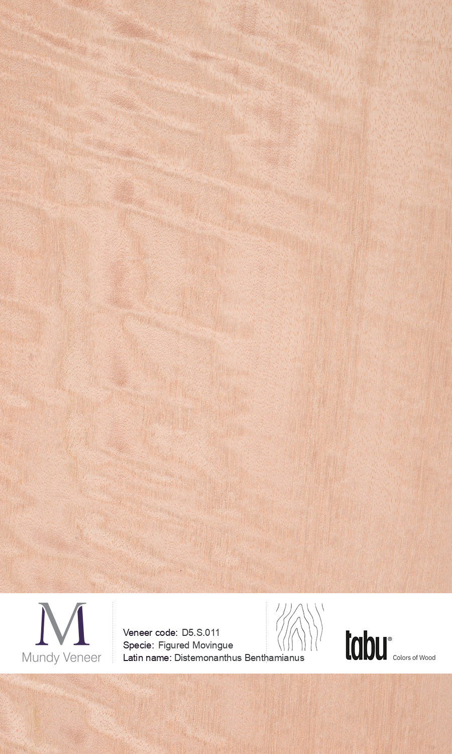 D5.S.011, Figured Movingue