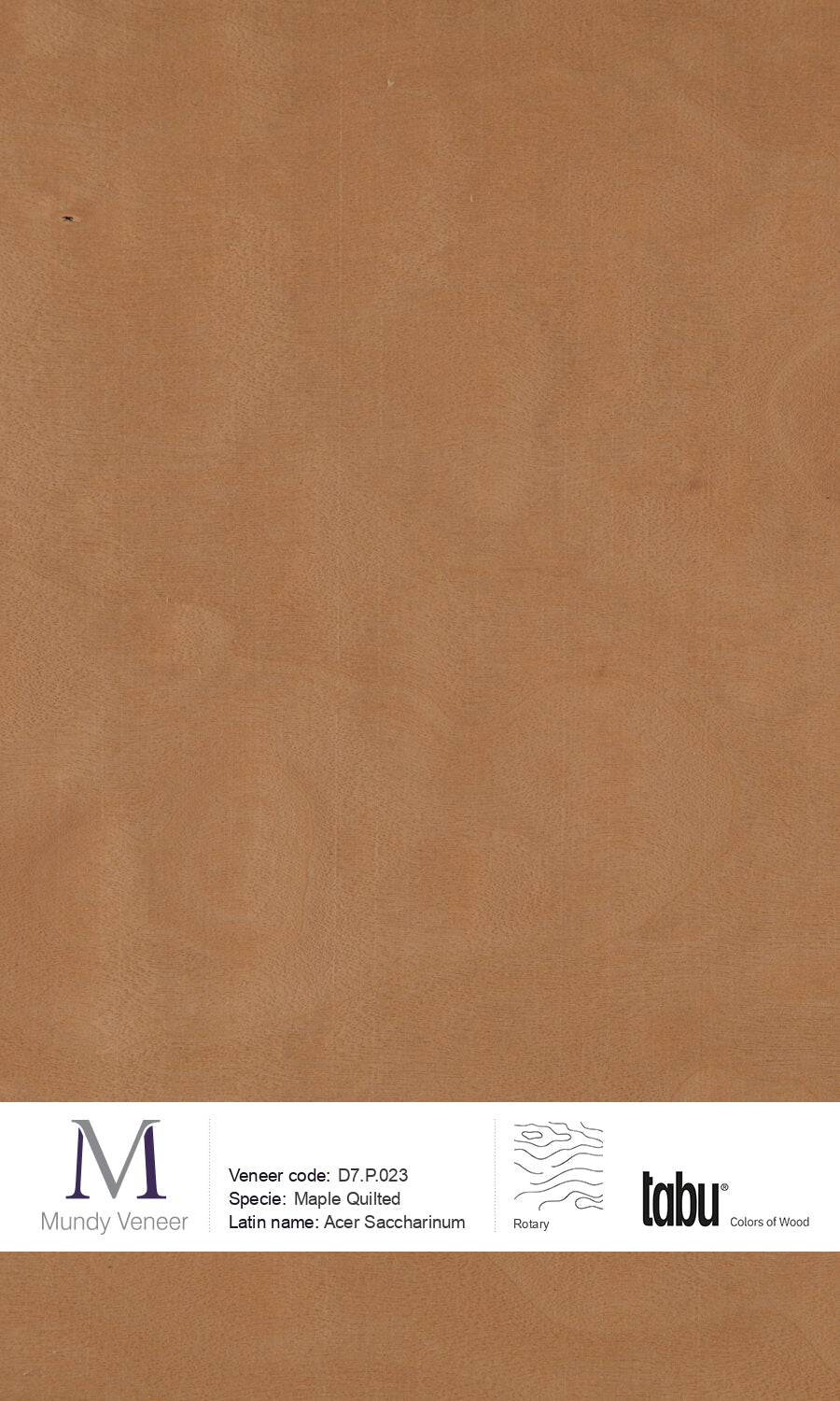 D7.P.023, Maple Quilted