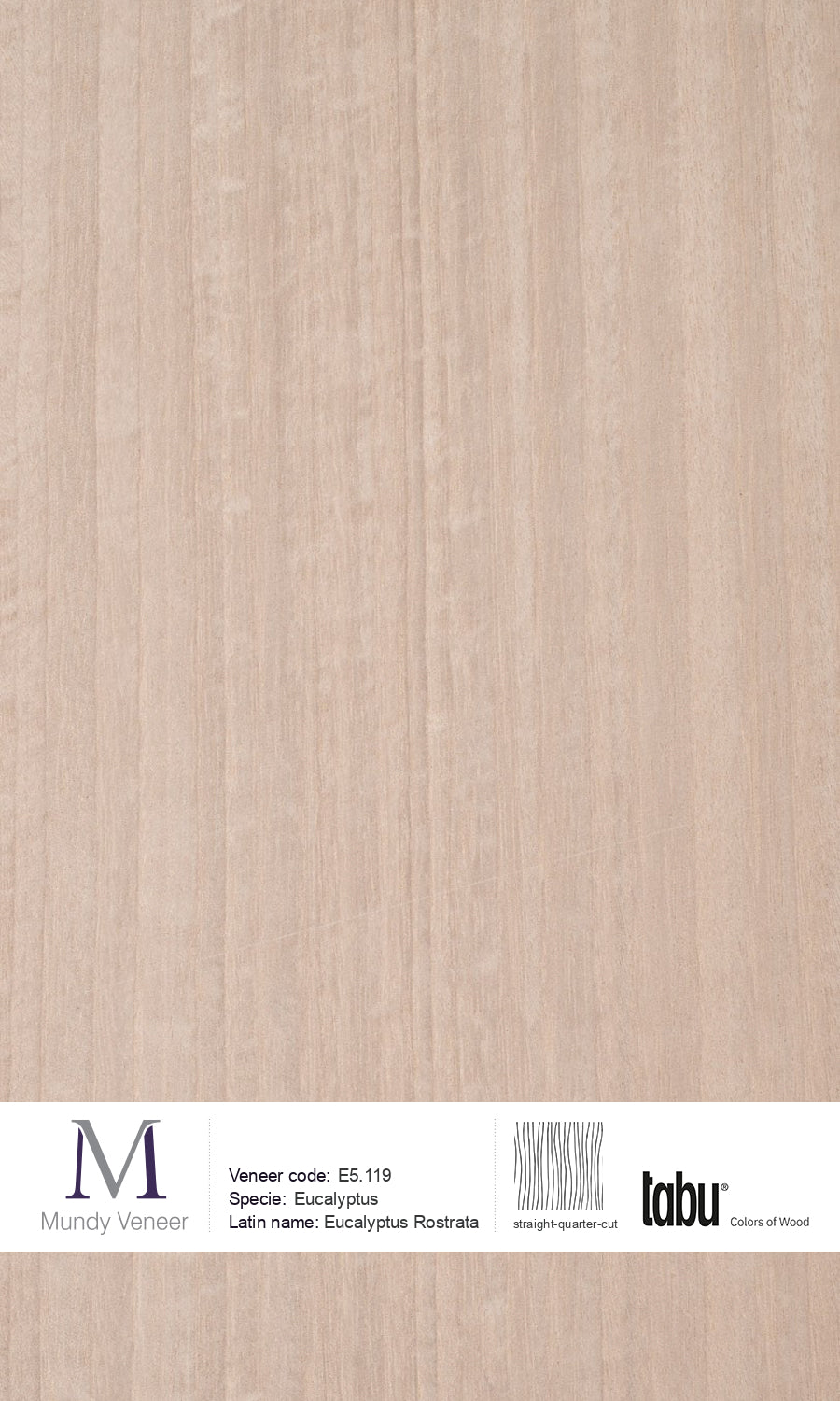 E5.119, Eucalyptus