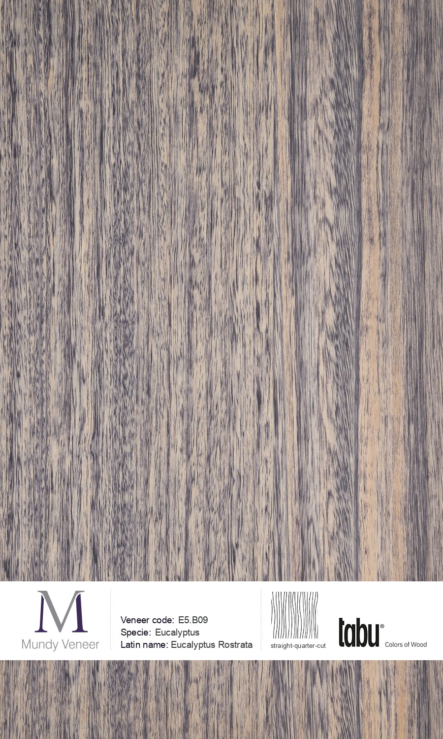 E5.B09, Eucalyptus