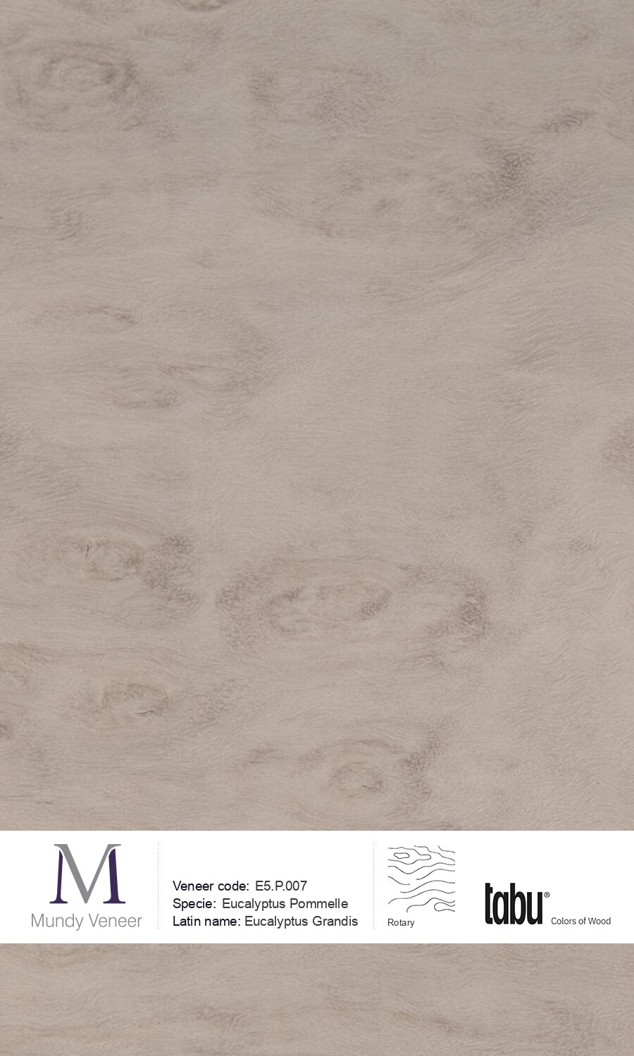 E5.P.007, Eucalyptus Pommelle