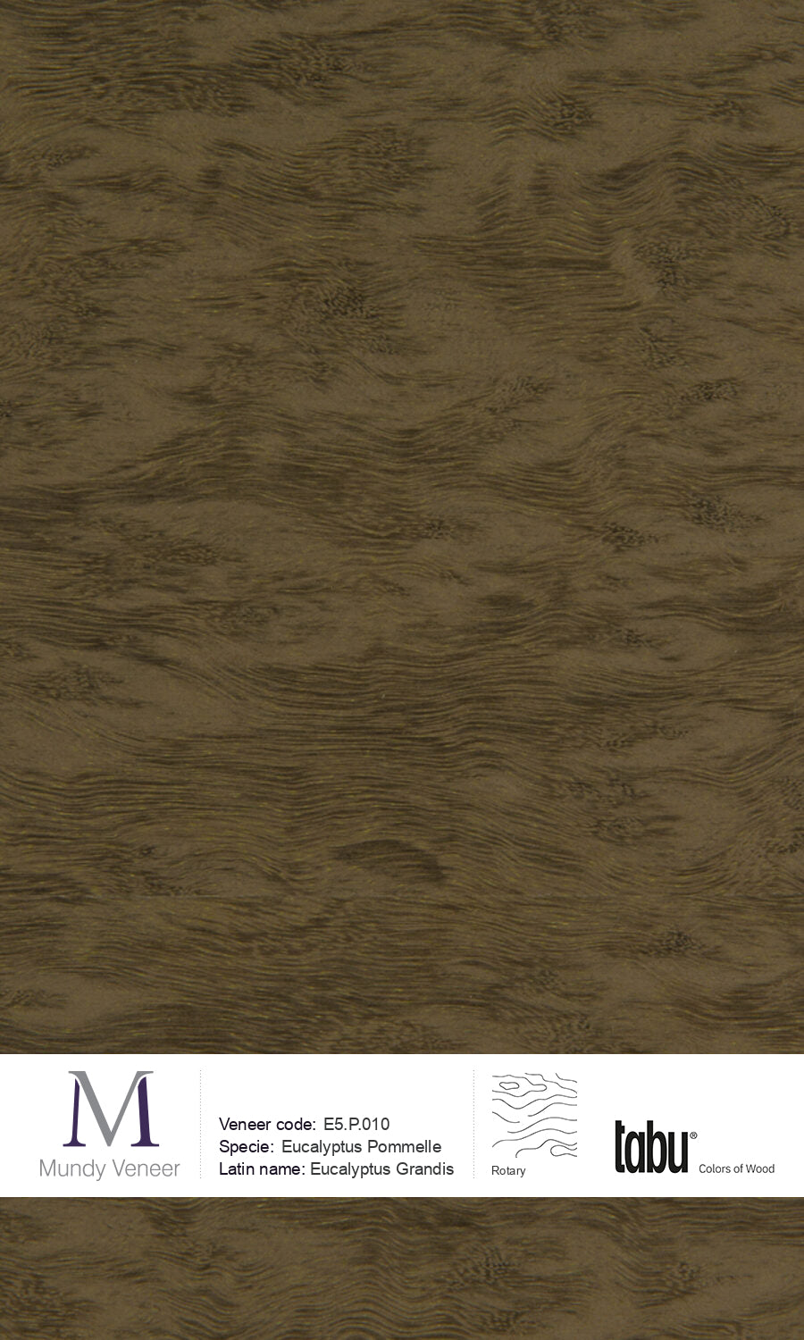 E5.P.010, Eucalyptus Pommelle