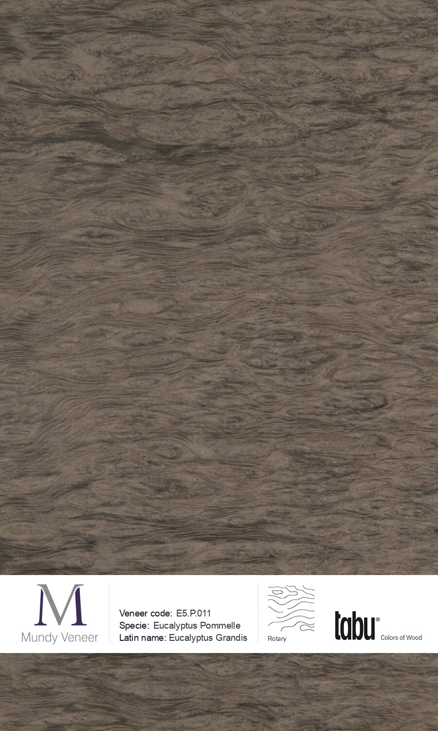 E5.P.011, Eucalyptus Pommelle