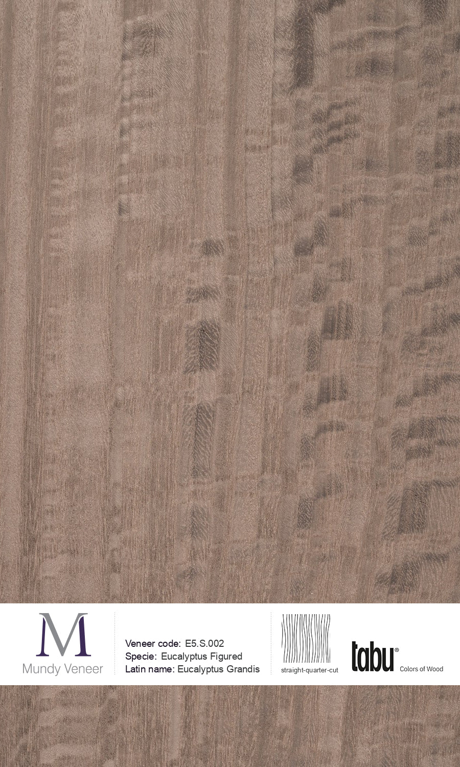 E5.S.002, Eucalyptus Figured
