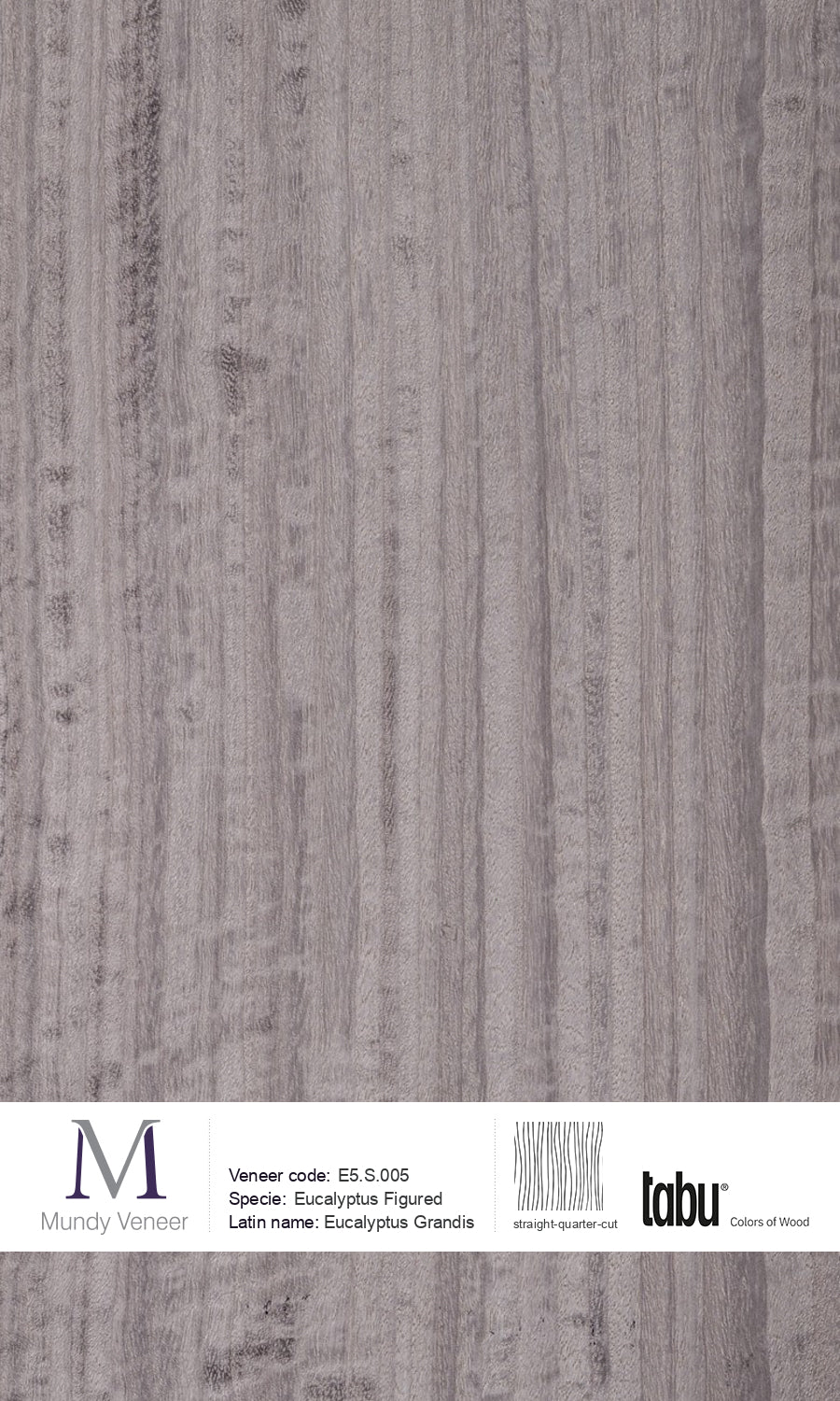 E5.S.005, Eucalyptus Figured