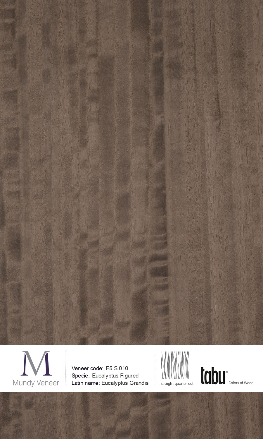 E5.S.010, Eucalyptus Figured