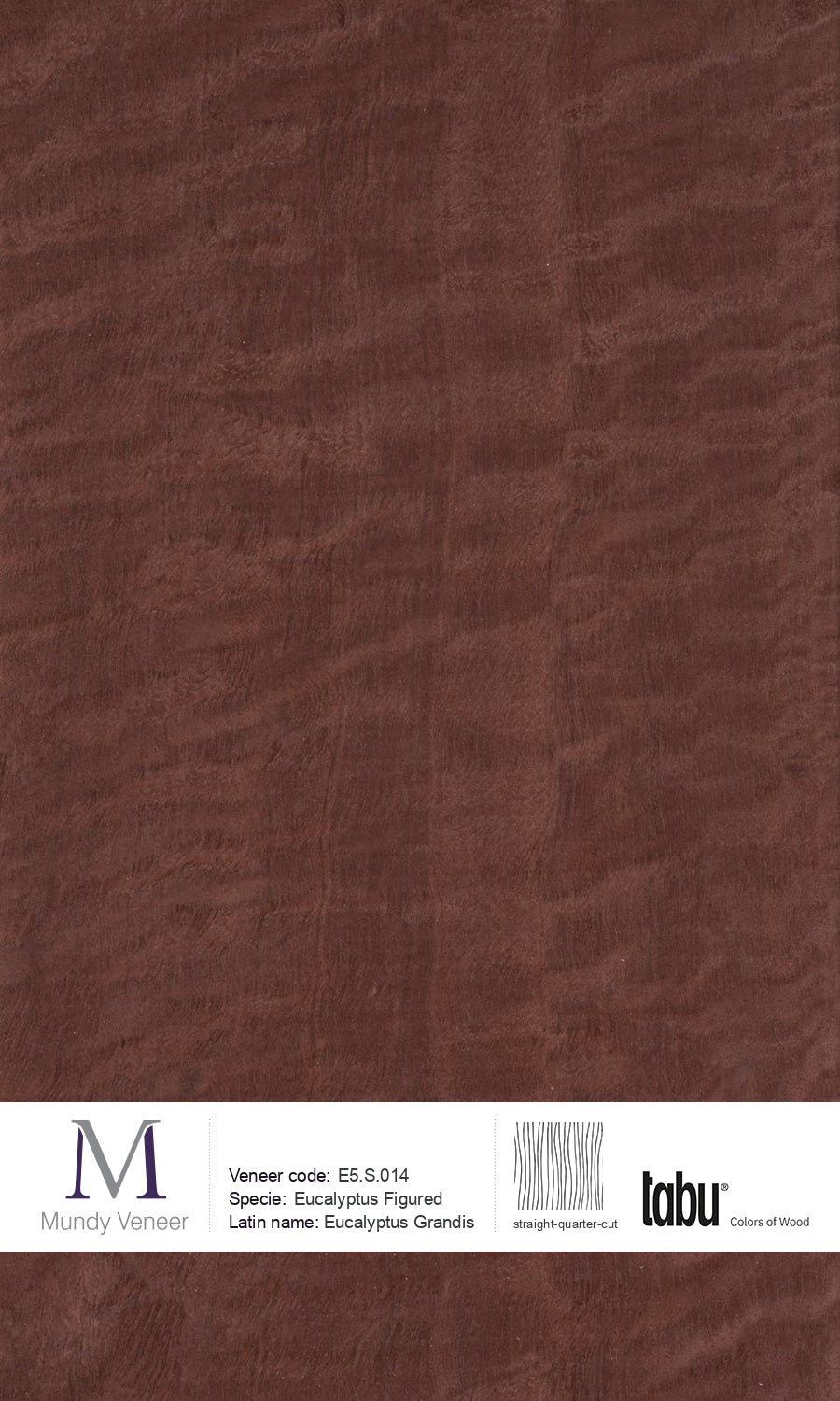 E5.S.014, Eucalyptus Figured