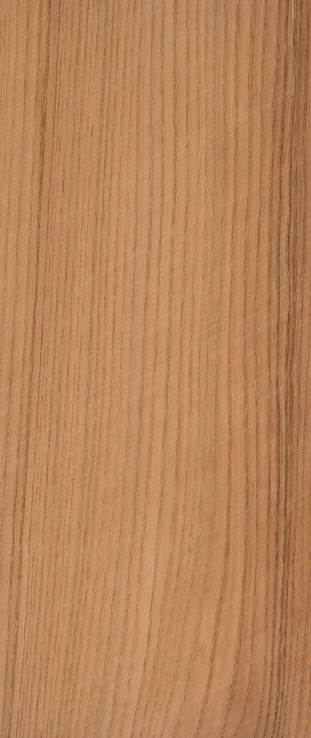 Elm American Red