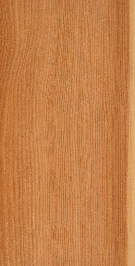 Larch