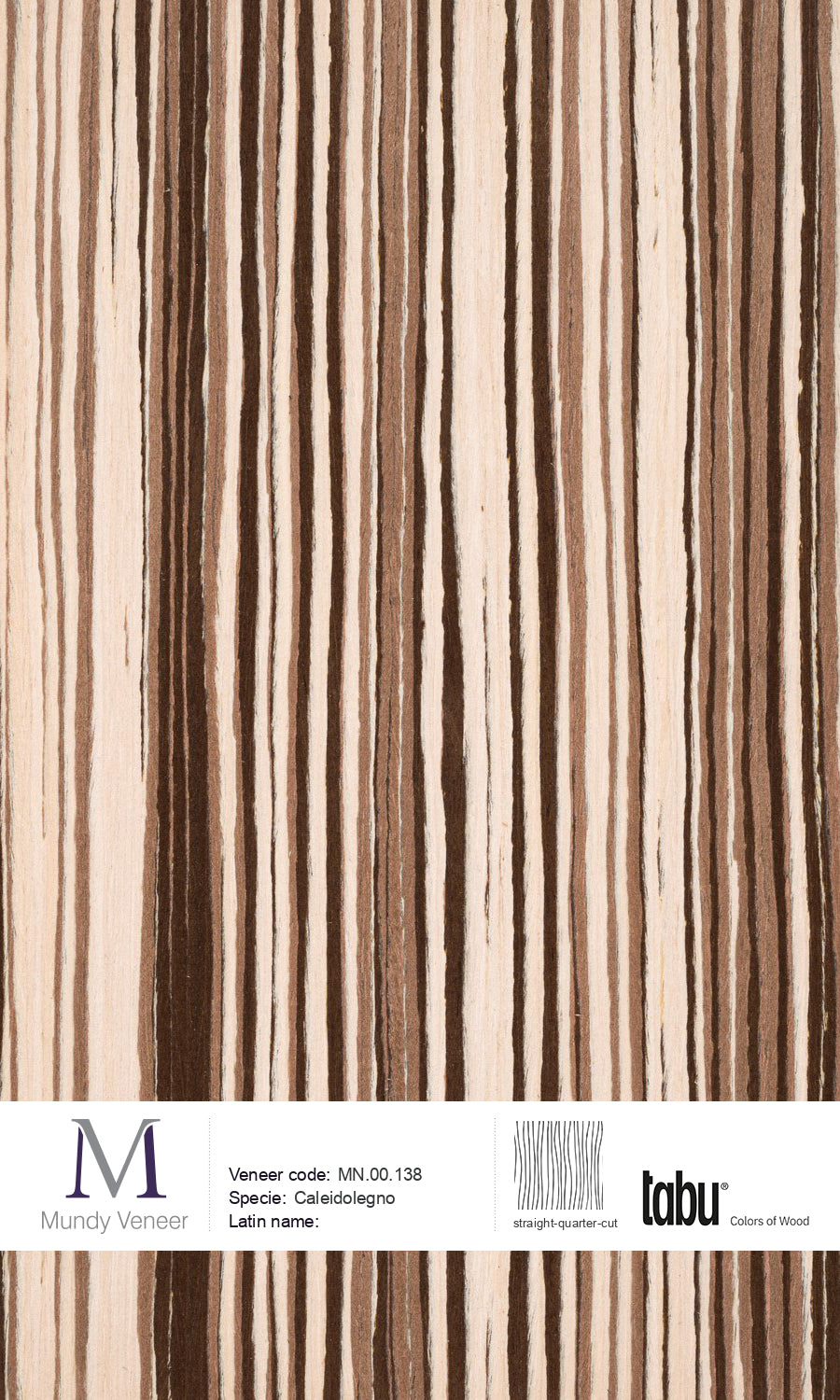 MN.00.138, Caleidolegno