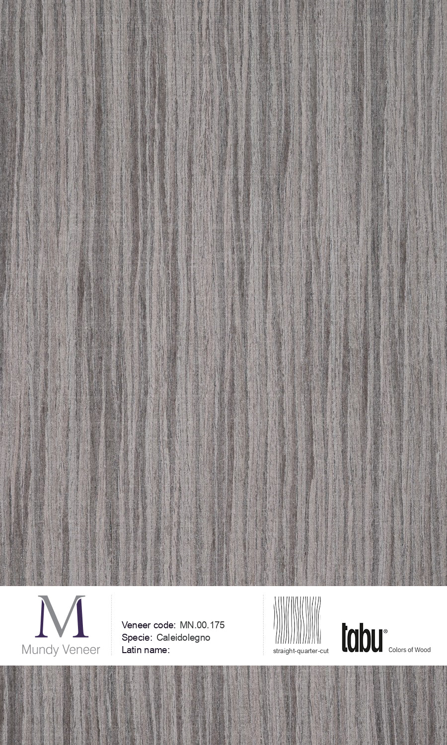 MN.00.175, Caleidolegno