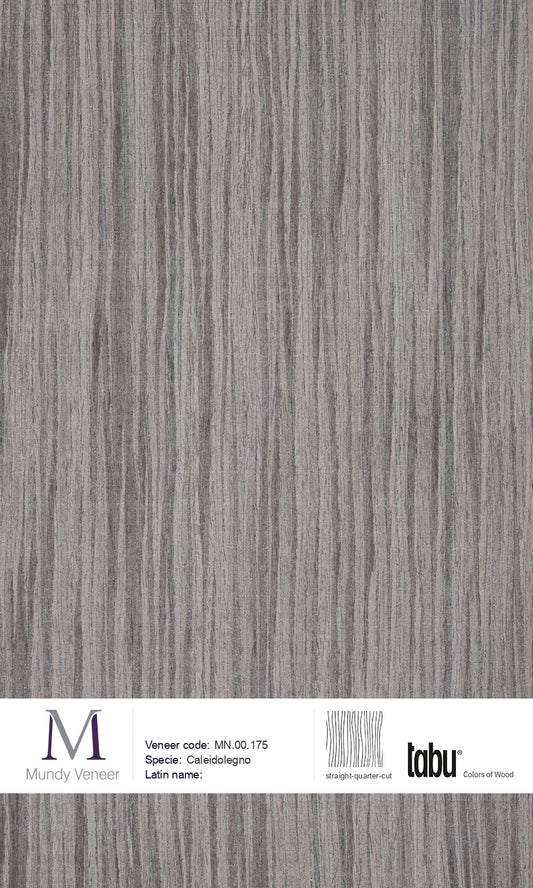 MN.00.175, Caleidolegno