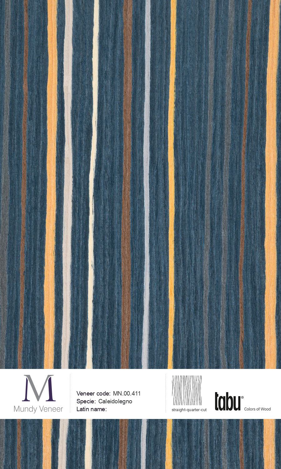 MN.00.411, Caleidolegno