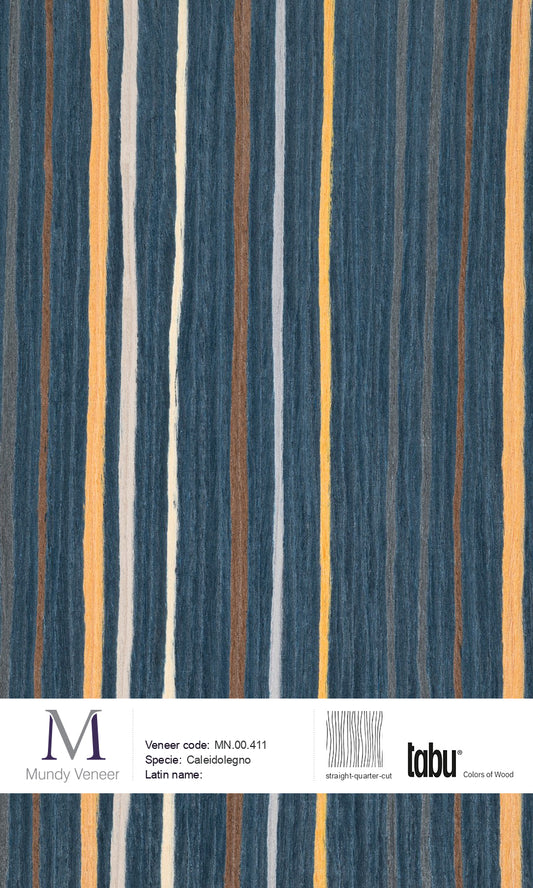 MN.00.411, Caleidolegno