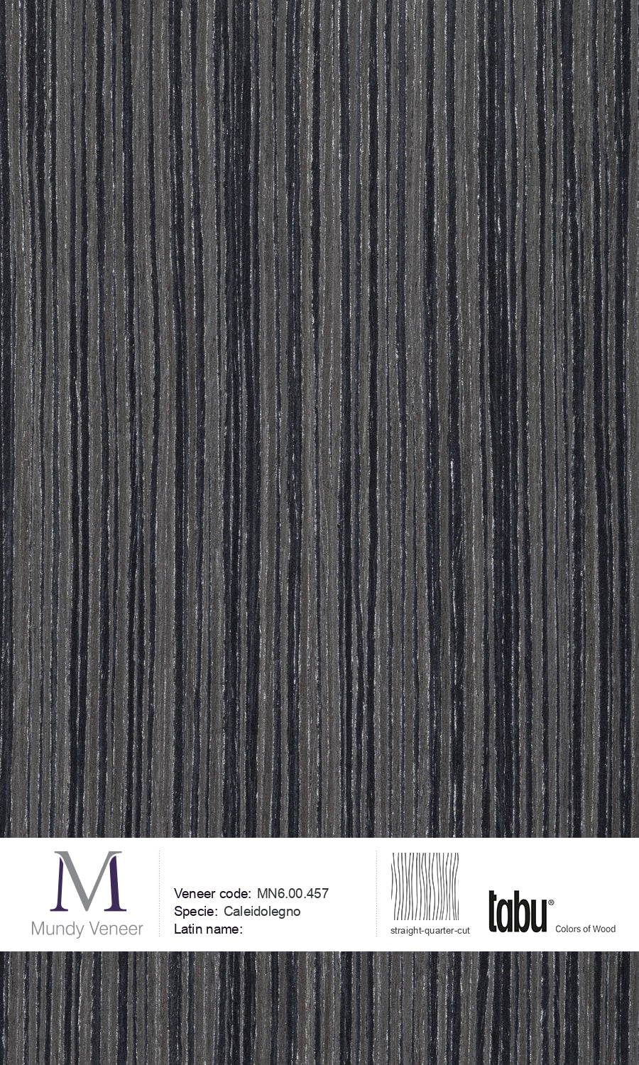 MN6.00.457, Caleidolegno