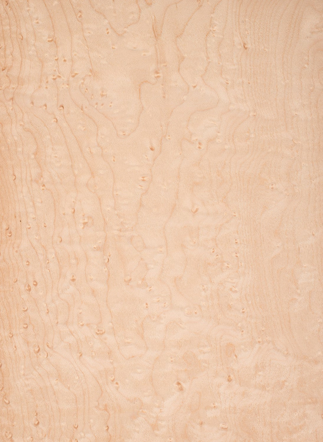 Bird’s Eye Maple