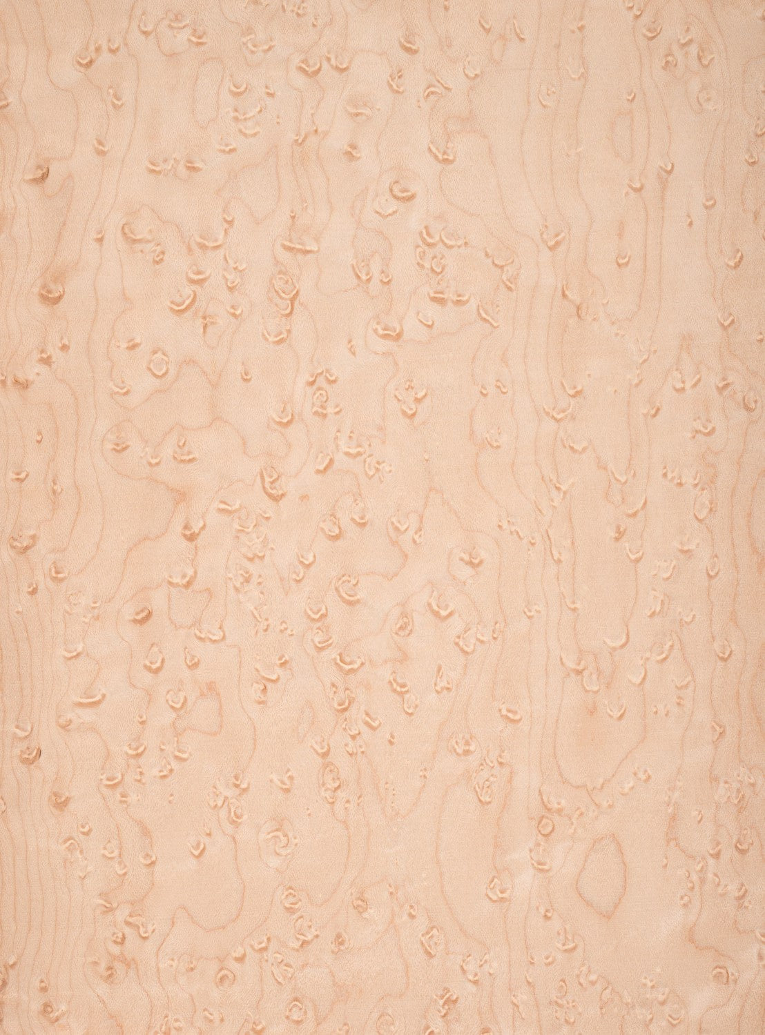 Bird’s Eye Maple