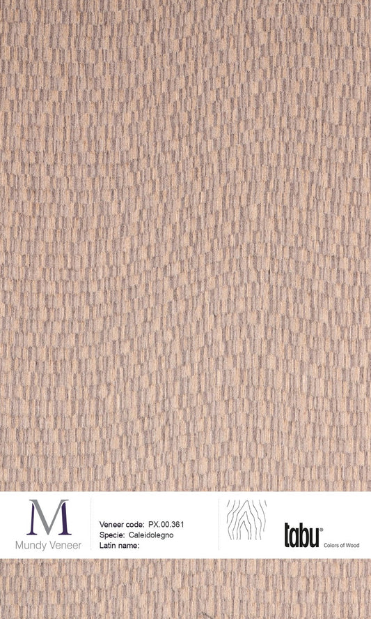 PX.00.361, Caleidolegno