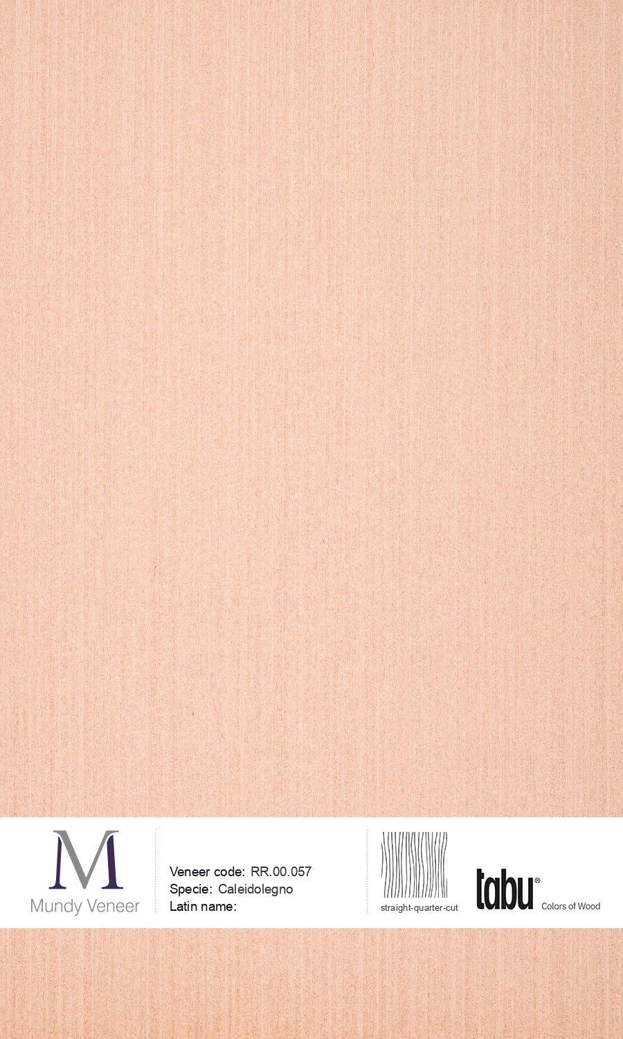 RR.00.057, Caleidolegno