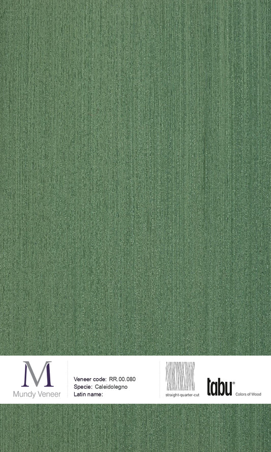 RR.00.080, Caleidolegno