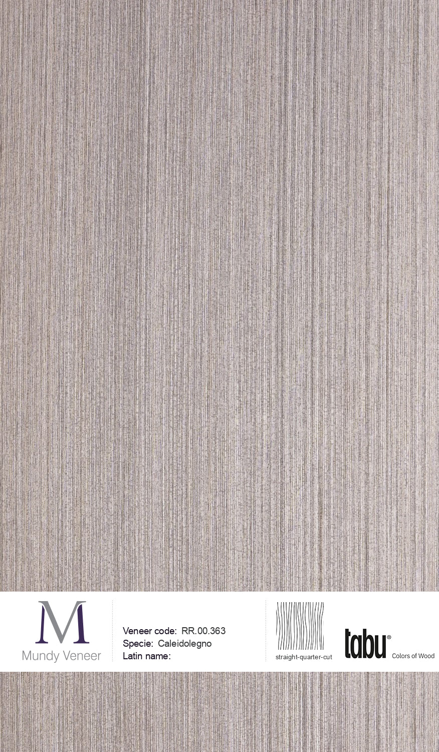 RR.00.363, Caleidolegno