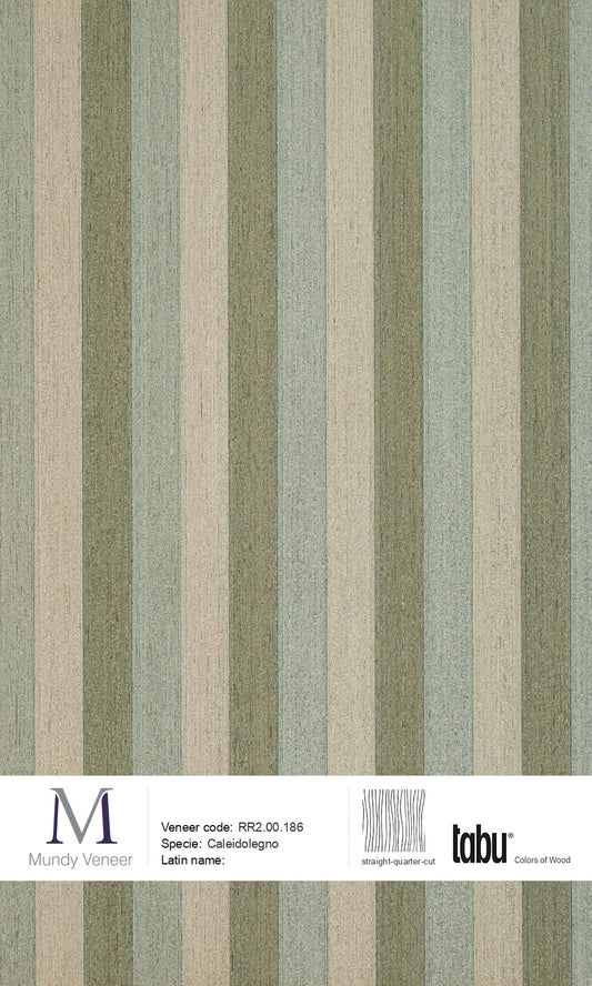 RR2.00.186, Caleidolegno