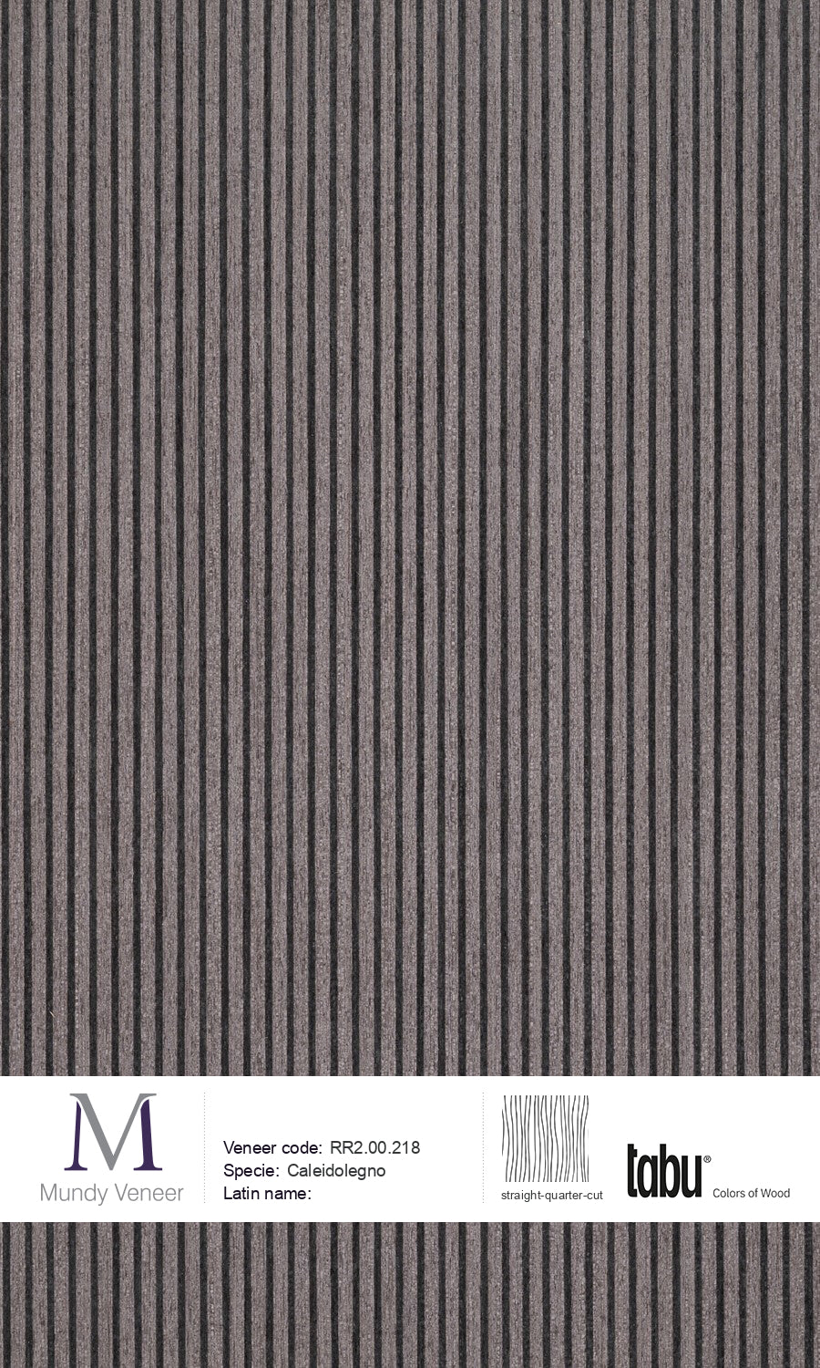 RR2.00.218, Caleidolegno