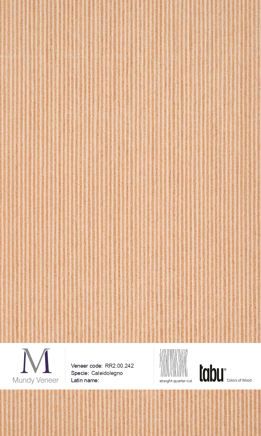 RR2.00.242, Caleidolegno