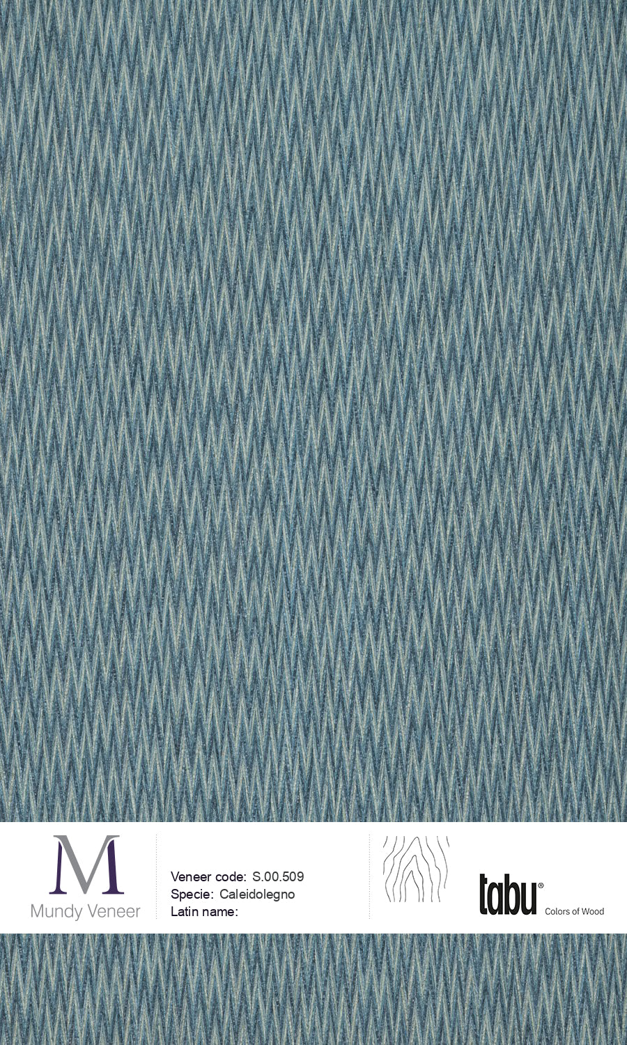 S.00.509, Caleidolegno