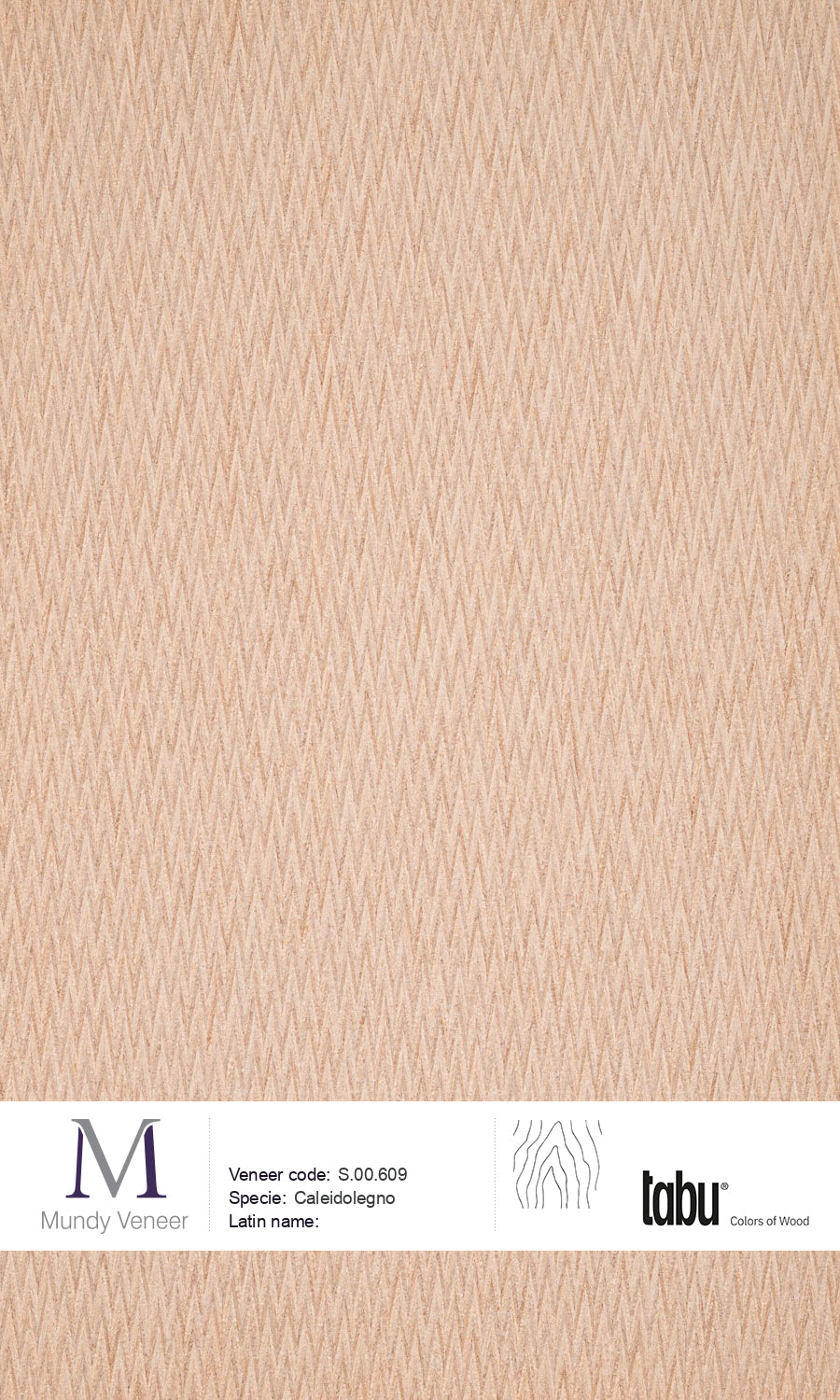 S.00.609, Caleidolegno