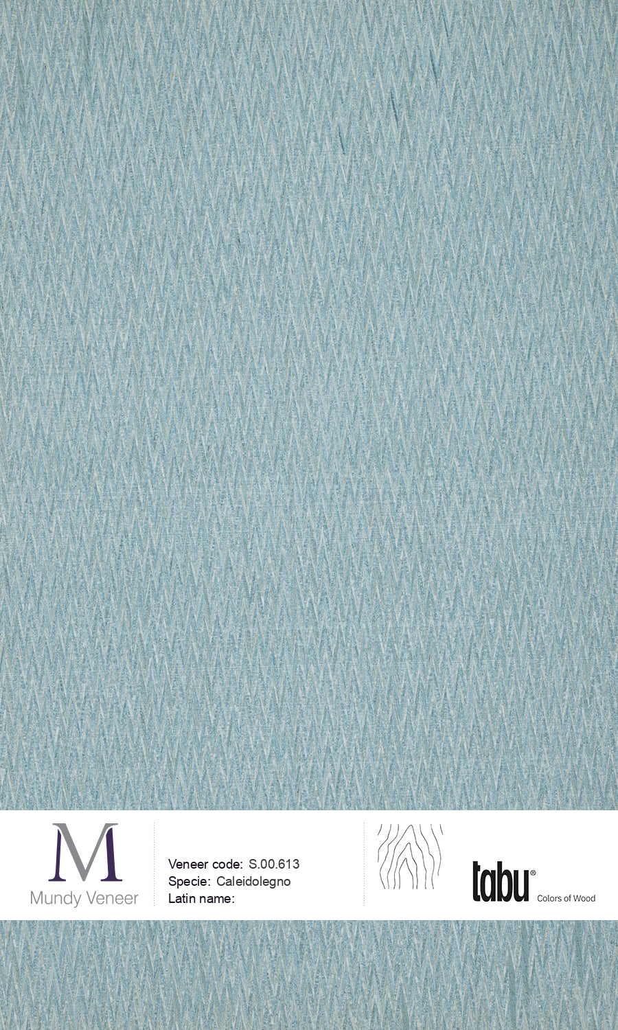 S.00.613, Caleidolegno