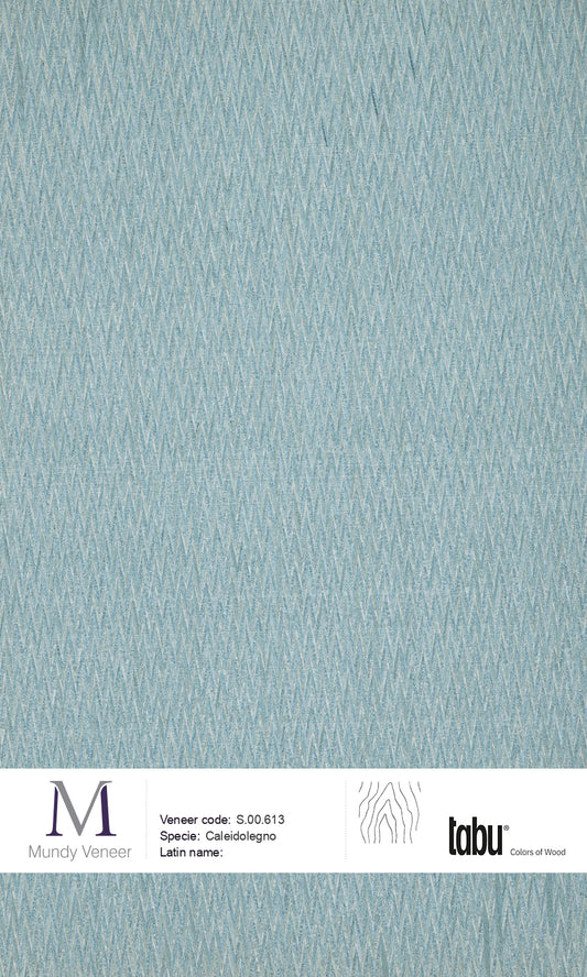 S.00.613, Caleidolegno