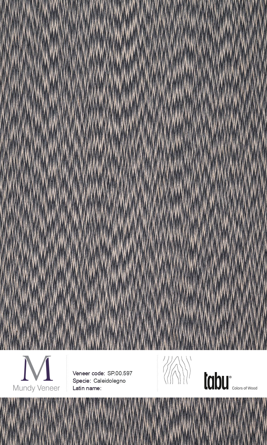 SP.00.597, Caleidolegno