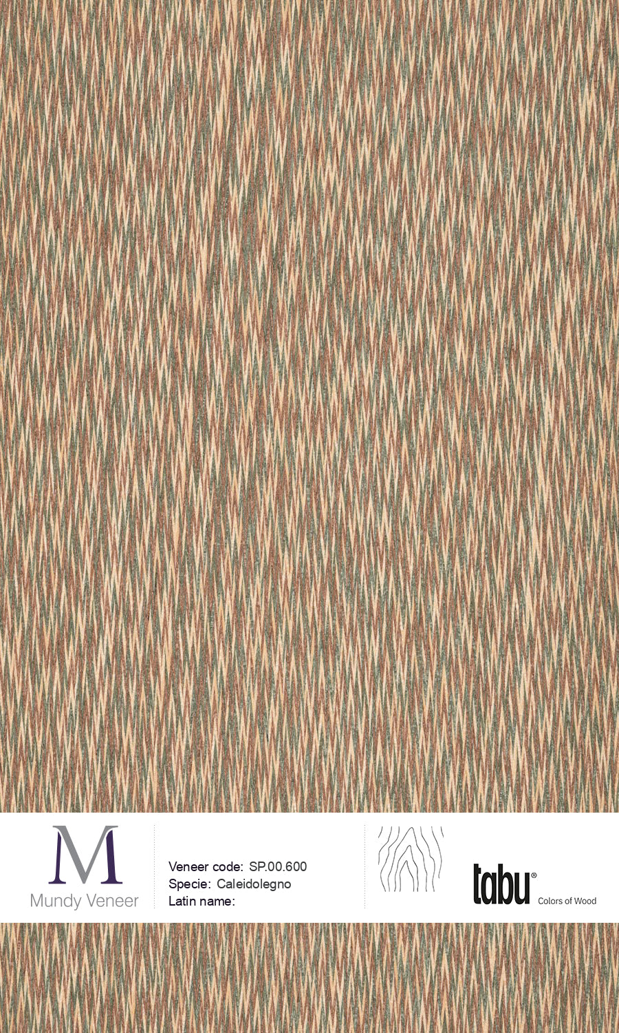 SP.00.600, Caleidolegno