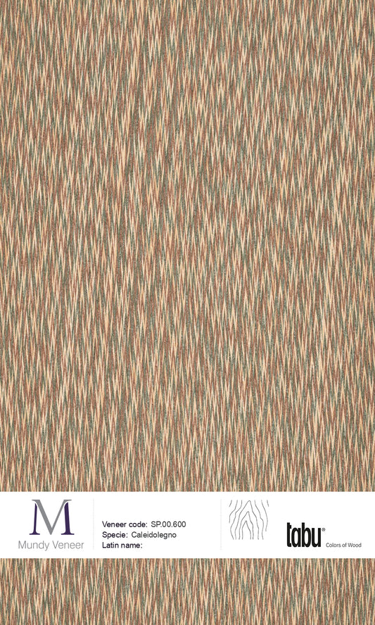 SP.00.600, Caleidolegno