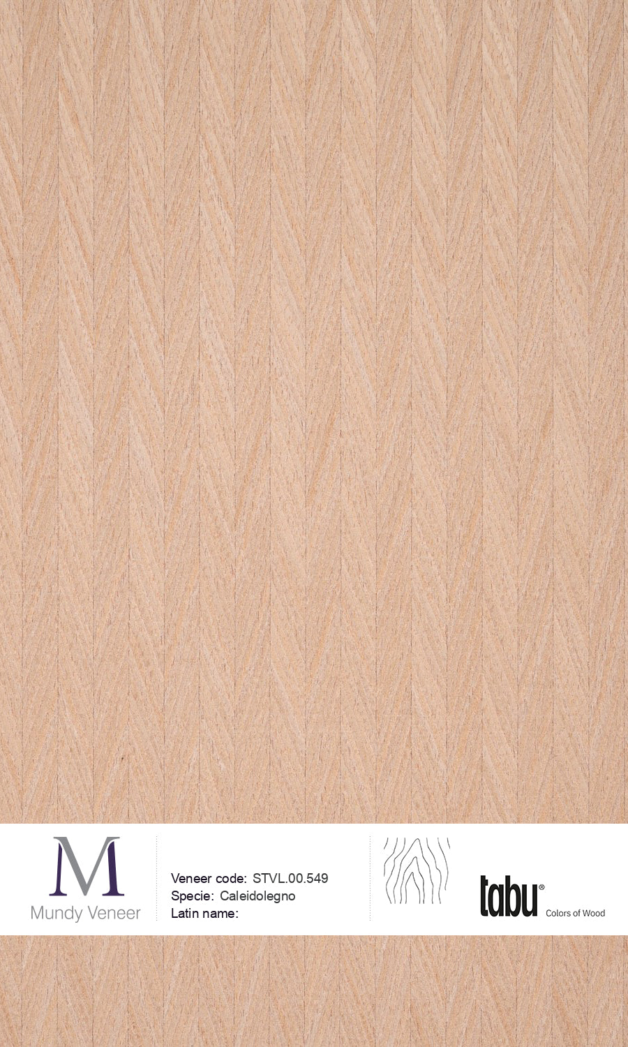 STVL.00.549, Caleidolegno