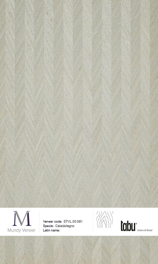 STVL.00.581, Caleidolegno