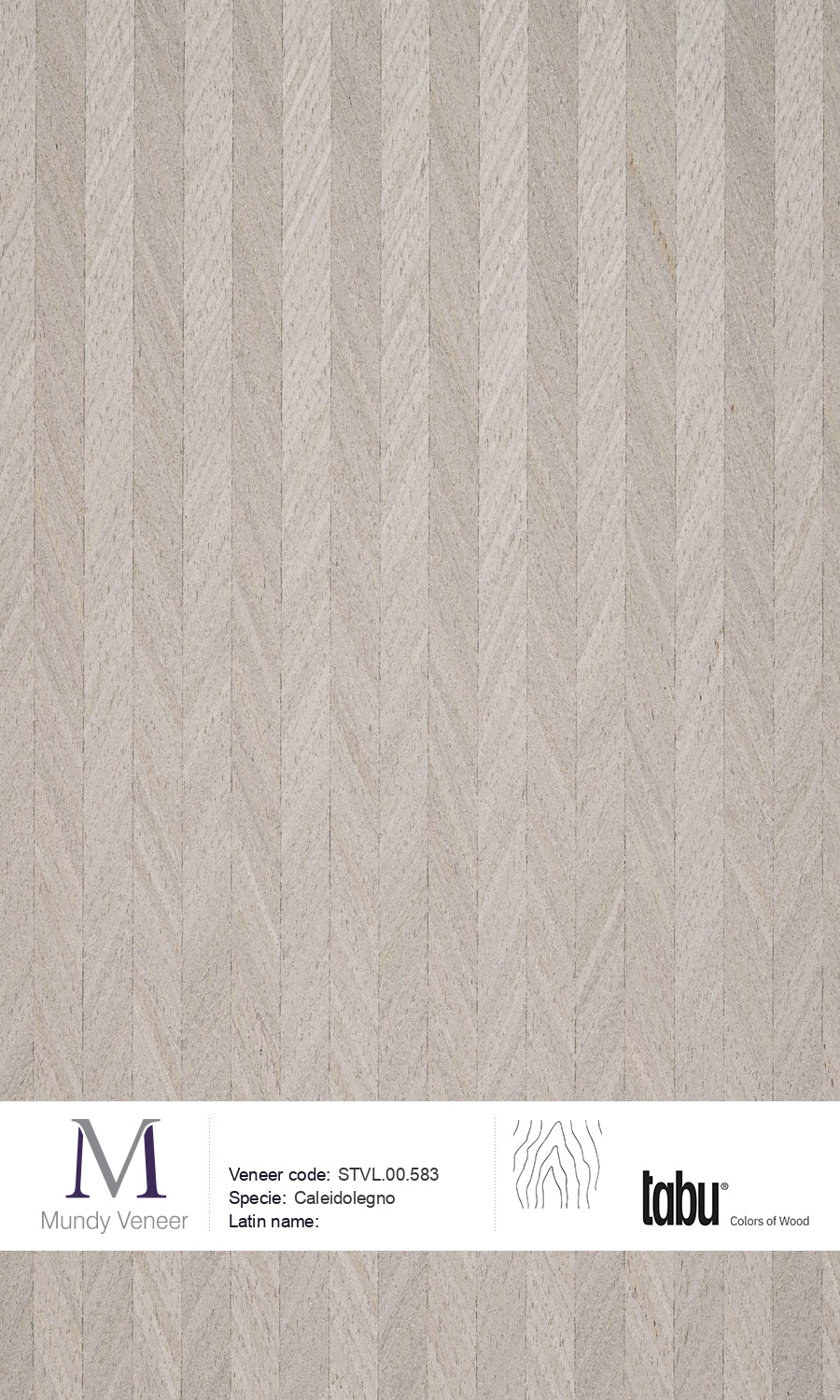 STVL.00.583, Caleidolegno